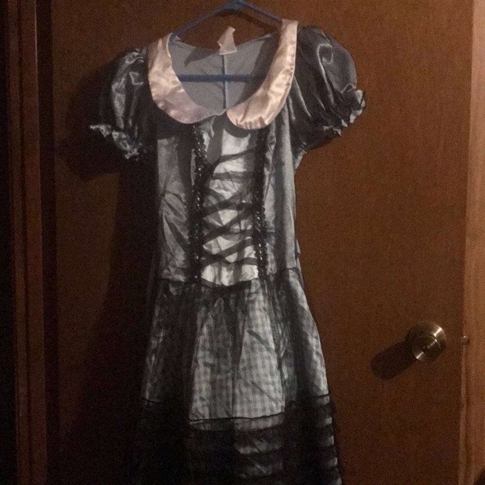 Alice or Dorothy Halloween costume
